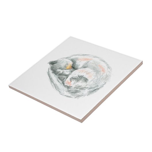 Carreau Nap de chat (Côté)