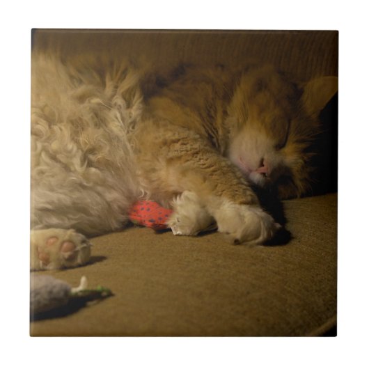 Carreau Nap de chat (Devant)