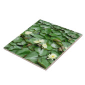 Carreau Nappes D'Eau (Côté)