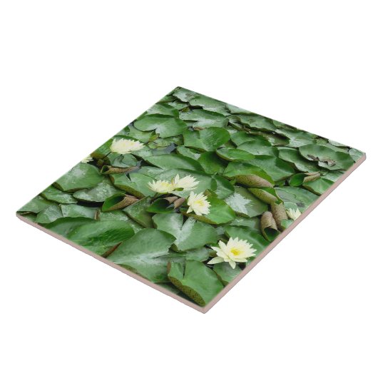 Carreau Nappes D'Eau (Côté)