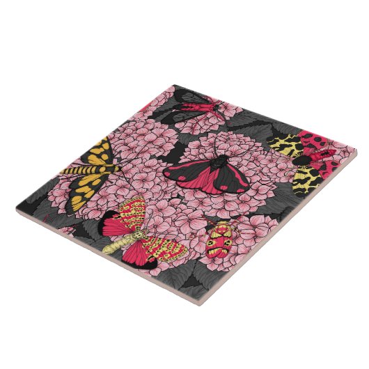 Carreau Nappes phréatiques à hydrangée rose (Côté)