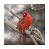 Carreau Nature (Devant)