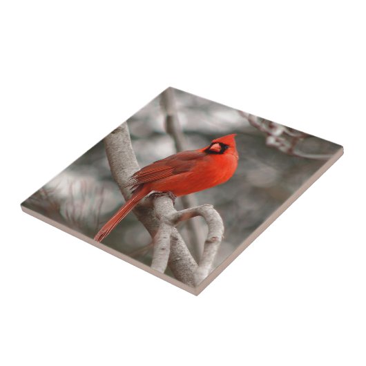 Carreau Nature (Côté)