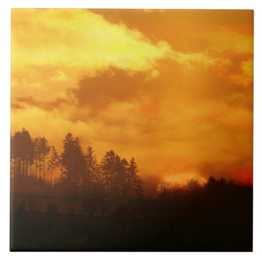CARREAU NATURE MATIN SOLEIL LEVANT (Devant)