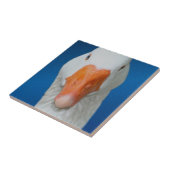 Carreau Nature mignonne de l'oie blanche (Côté)