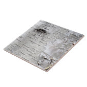 Carreau nature pays rustique bouleau blanc écorce (Côté)