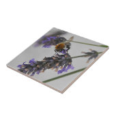 Carreau Natures de merveilleux travailleurs (Côté)