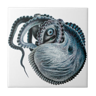 Carreau Nautilus Argonaut de calmar à poulpe vintage