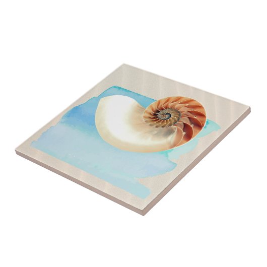 Carreau Nautilus Coquillage et sable (Côté)