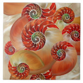 Carreau Nautilus Shells (Devant)