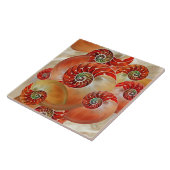 Carreau Nautilus Shells (Côté)