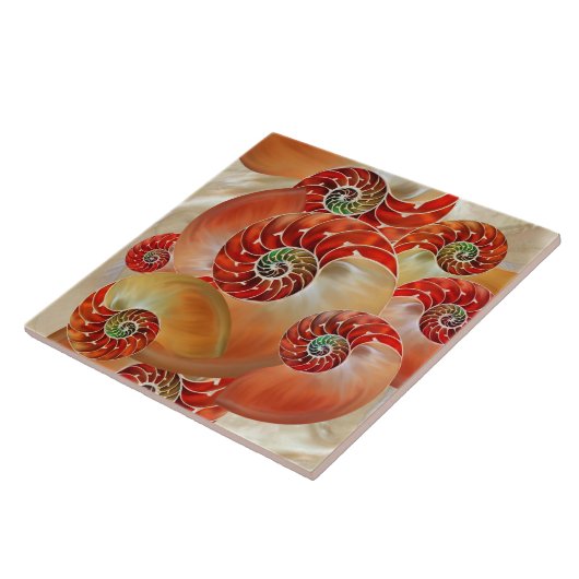 Carreau Nautilus Shells (Côté)