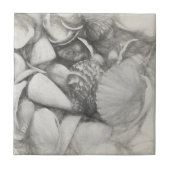 Carreau Nautique Sea Shells Ocean Beach Vintage Antique (Devant)