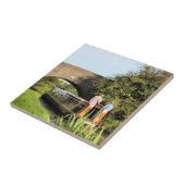 CARREAU NAVIRES (Côté)