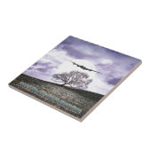 Carreau N'ayez pas peur d'imaginer (Côté)