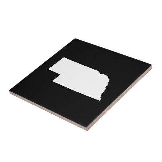 Carreau Nebraska en blanc (Côté)