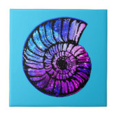 Carreau Nebula avec étoiles dans un coquillage de Nautilus (Devant)