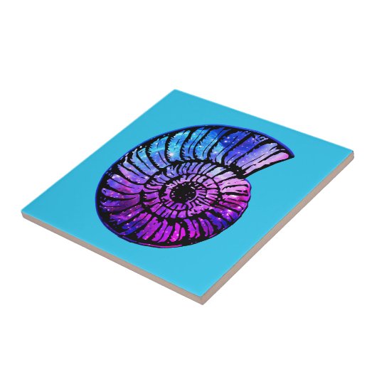 Carreau Nebula avec étoiles dans un coquillage de Nautilus (Côté)