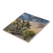 Carreau Neige Dans La Vallée De La Mort (Côté)