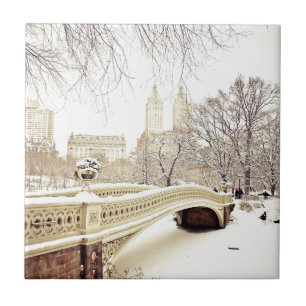Carreau Neige de Central Park - hiver New York