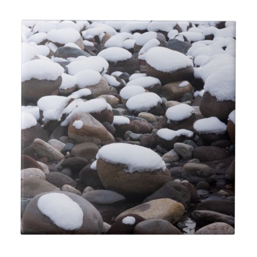 Carreau Neige Et Rochers, Parc National Mt. Rainier (Devant)