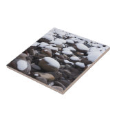 Carreau Neige Et Rochers, Parc National Mt. Rainier (Côté)