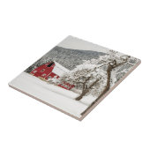 Carreau Neige fraîche sur grange rouge (Côté)