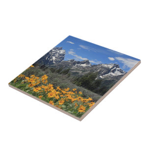 Carreau Neige sur le Grand Teton National Park au printemp