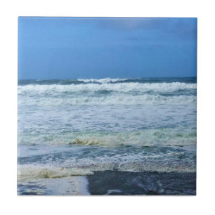 Carreau Nelscott Reef, Lincoln City, Oregon