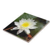 Carreau Nénuphar (Côté)