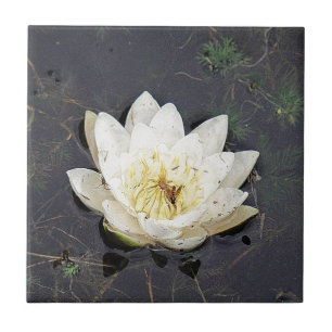 Carreau Nénuphar