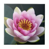 Carreau Nénuphar (Devant)