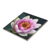 Carreau Nénuphar (Côté)