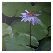 Carreau Nénuphar (Devant)