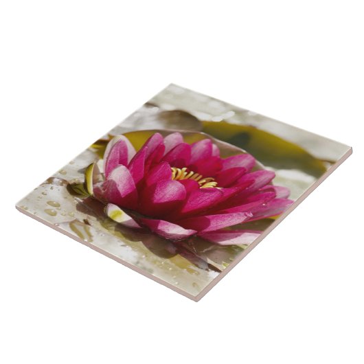 Carreau Nénuphar (Côté)