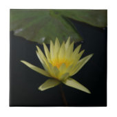 Carreau Nénuphar Lotus jaune (Devant)