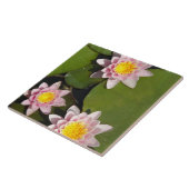 Carreau Nénuphars (Côté)