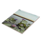 Carreau Nénuphars dans l'étang par l'océan (Côté)