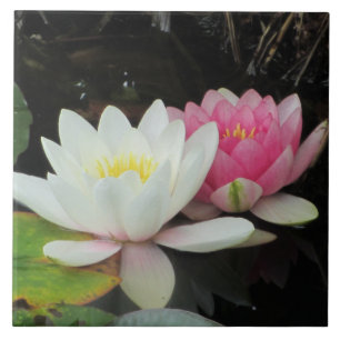 Carreau NÉNUPHARS par SHARON SHARPE