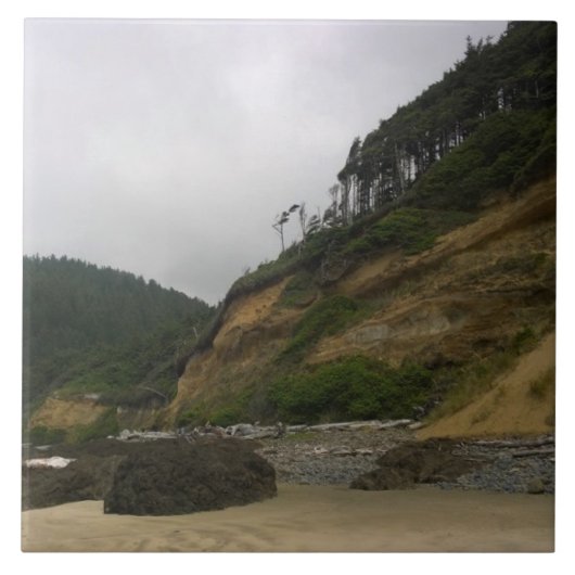 Carreau Neptune State Park, OU (Devant)