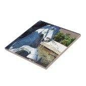 Carreau Neptune's Horse, Plaza Fountain Detail (Côté)