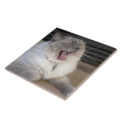 Carreau Neva Masquerade chat bâillonnant (Côté)