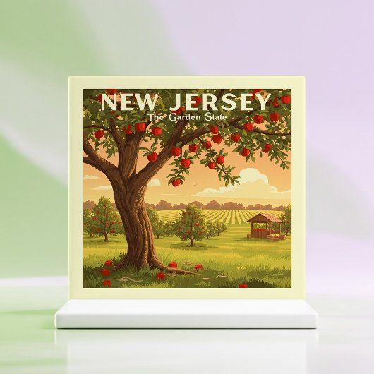 Carreau New Jersey vintage