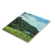 Carreau New River (Côté)