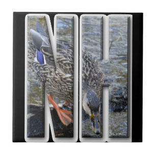 CARREAU NH NEW HAMPSHIRE