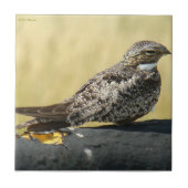 Carreau Nighthawk B29 (Devant)