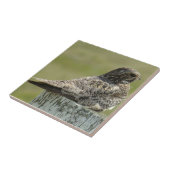 Carreau Nighthawk de terrain communal de B2 (Côté)