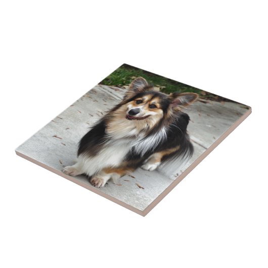 Carreau Nipsey (Côté)