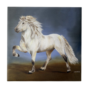 Carreau Noblesse islandaise du cheval