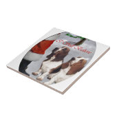 Carreau Noël de Basset Hound (Côté)